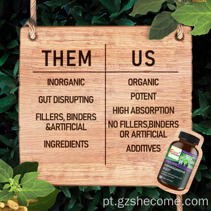 ASHWAGANHHHA SUPLEMENTO DE SUPLEMENTO DE ESTRESSO SUPORTE DO SLEEP